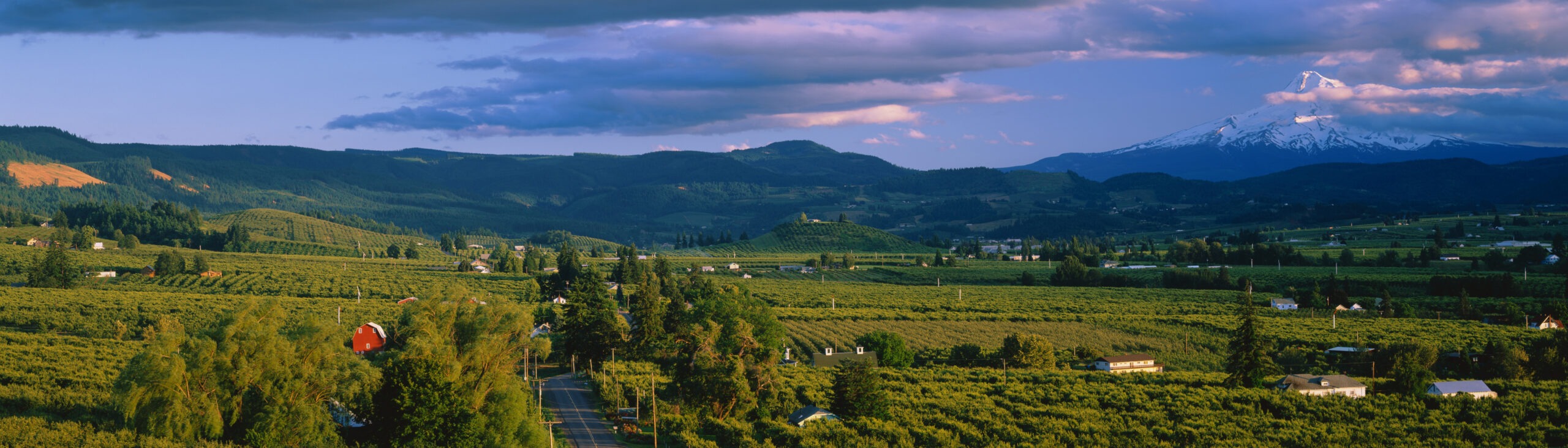 Hood River Valley